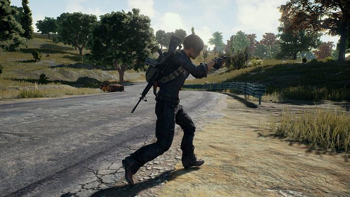 Immagine prodotto Sony PlayerUnknown's Battlegrounds (PS4, DE)