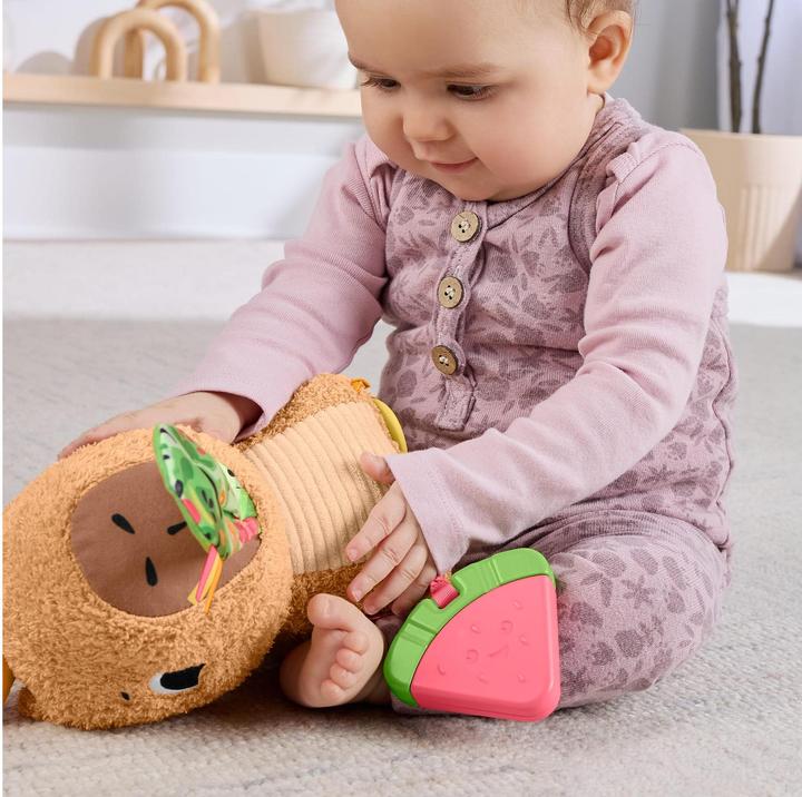 Productafbeelding Fisher-Price Kuschel-Capybara (24.10 cm)