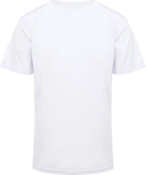 Actual product image Regatta Mens Fingal VIII Graphic Print T-Shirt (XL)