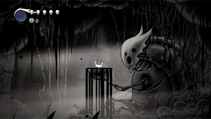Actual product image Wanadoo Hollow Knight (Switch, EN)