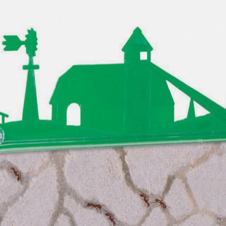 Produktbild Giant Ant Farm