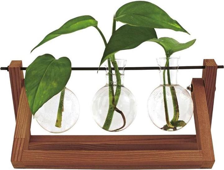 Winkee Hydro Vases Blossom - Vaso (1 x)
