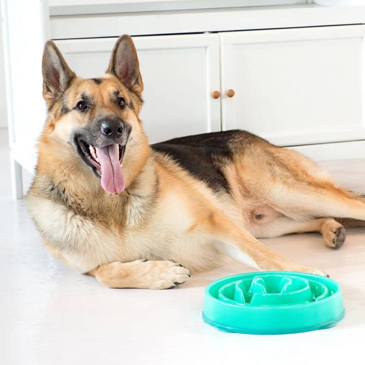 Produktbild Outward Hound Fun Feeder