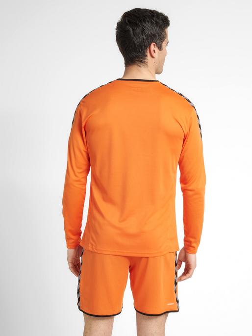 Image du produit hummel Authentic Poly Jersey L/S (S)