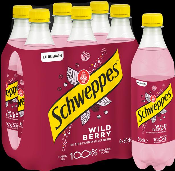 Produktbild Schweppes Wild Berry (24 x 50 cl)