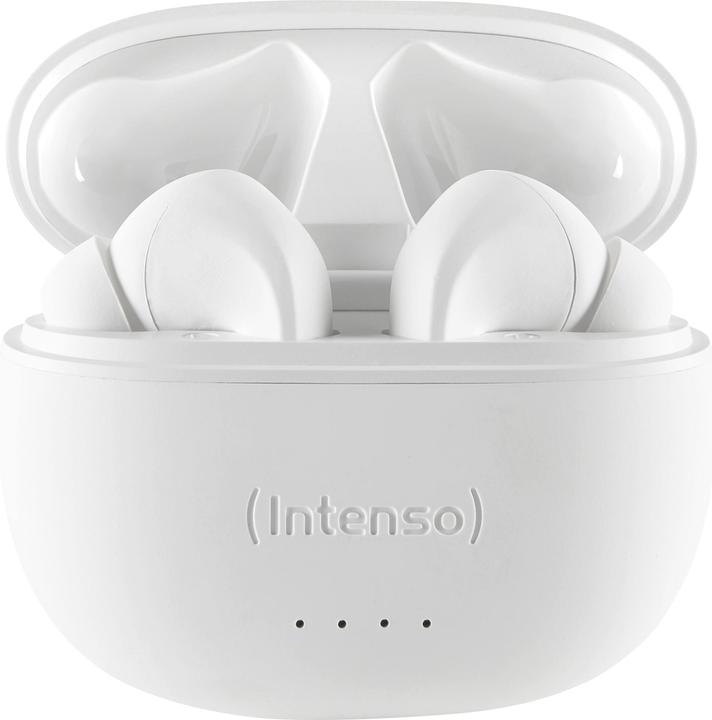 Image du produit Intenso Bourgeons blancs T302A (ANC, 2 h, Filaire)