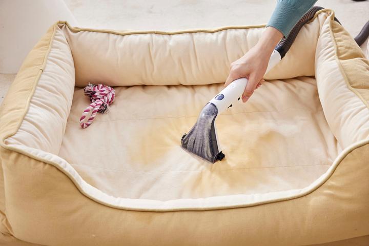 Actual product image Tineco iCarpet Spot