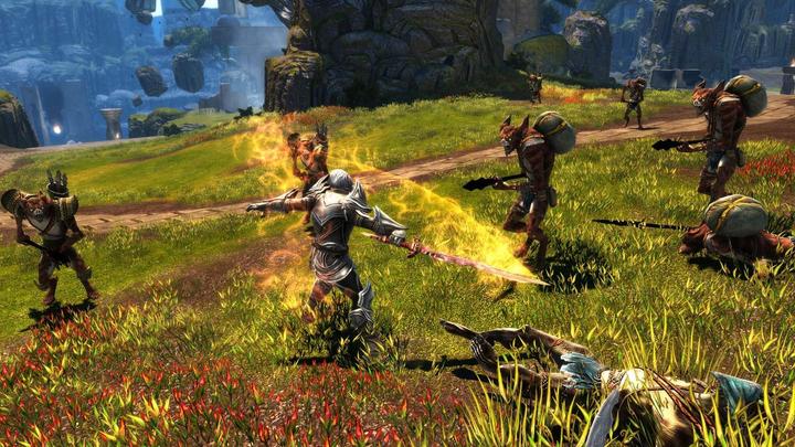Image du produit THQ Kingdoms of Amalur - Reckoning Edition définitive (PS4, IT, FR)