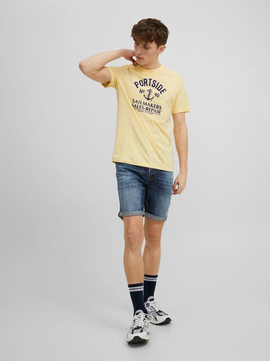 Actual product image Jack & Jones Maritime print t-shirt (L)