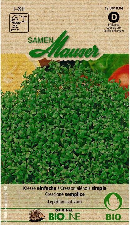 Samen Mauser Bud organic cress (Herb seeds)