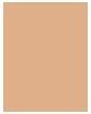 Image du produit MAC Cosmetics M.A.C. Studio Rad Serum Pow Fond de Teint NW15 (NW15)