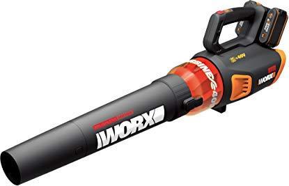 Worx WG584E.9 (Batteria ricaricabile, Soffiafoglie)