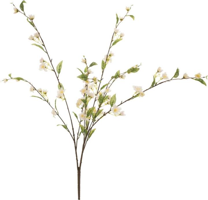Actual product image Europalms Cherry branch, artificial, white, 60cm (60 cm)