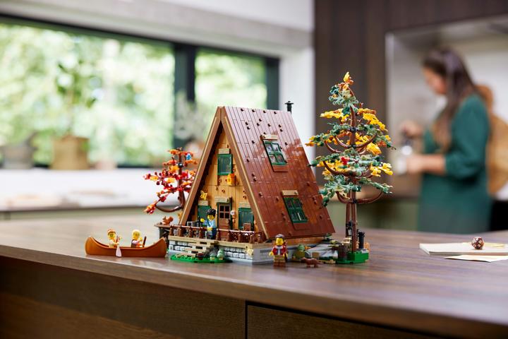 Actual product image LEGO Ideas Finn Cottage 21338 (21338, LEGO Ideas, LEGO Rare Sets)