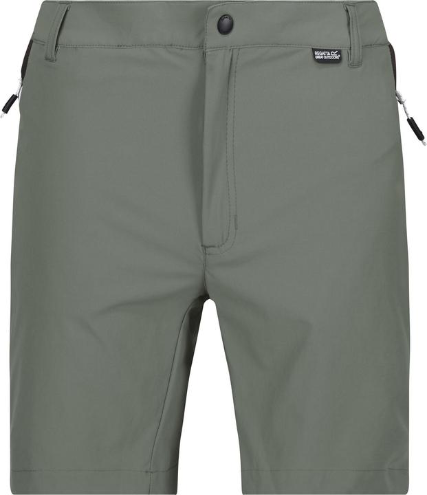 Actual product image Regatta Mens Mountain II Shorts