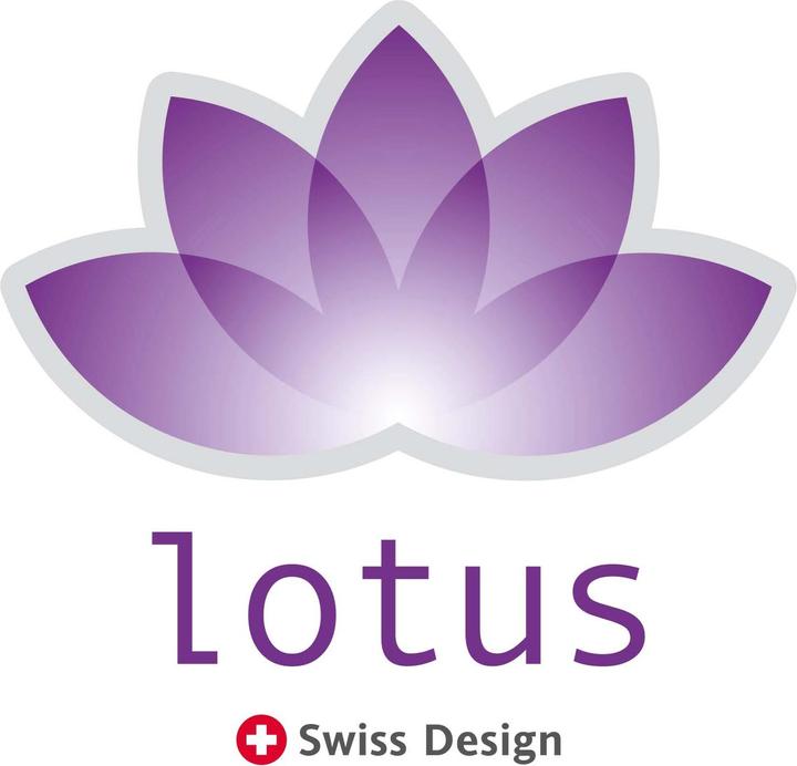 Image du produit Lotus Bettwaren Flüeli (Housse de couette, 240 x 240 cm)