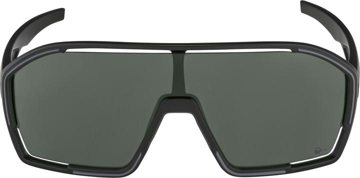 Image du produit ALPINA SPORTS Bonfire Q-Lite (Noir mat, Argent)