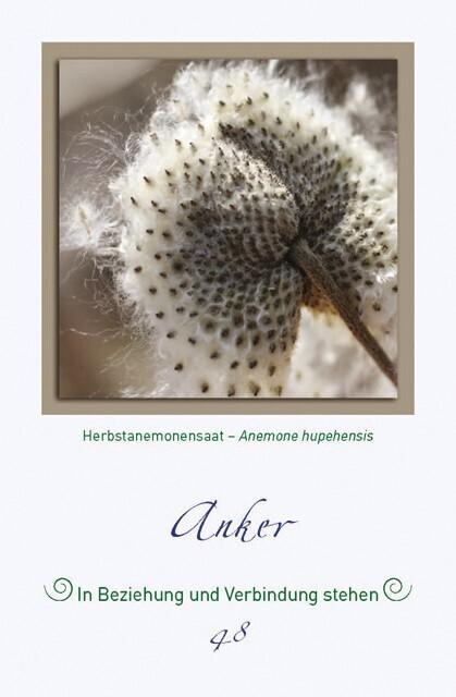 Produktbild Magische Pflanzenbilder (Deutsch, Thomas Kinkele, 2013)