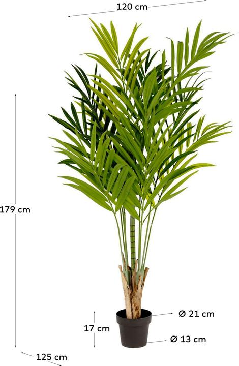 Produktbild Kave Home Palmera (179 cm)