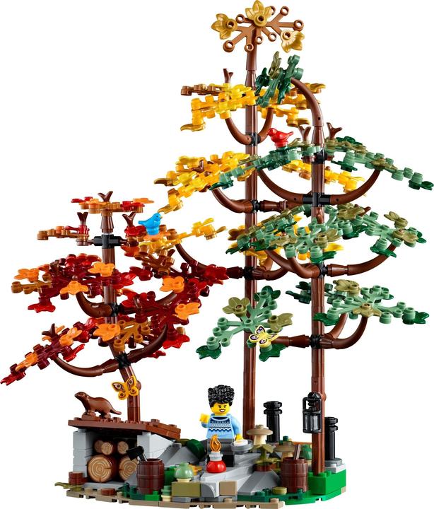Actual product image LEGO Ideas Finn Cottage 21338 (21338, LEGO Ideas, LEGO Rare Sets)