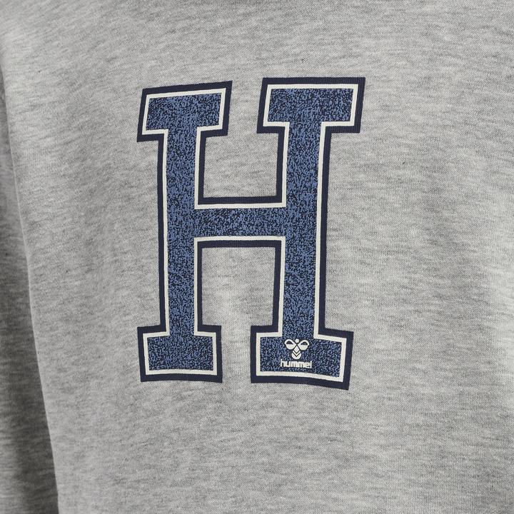 Produktbild hummel Geography Hoodie (134)