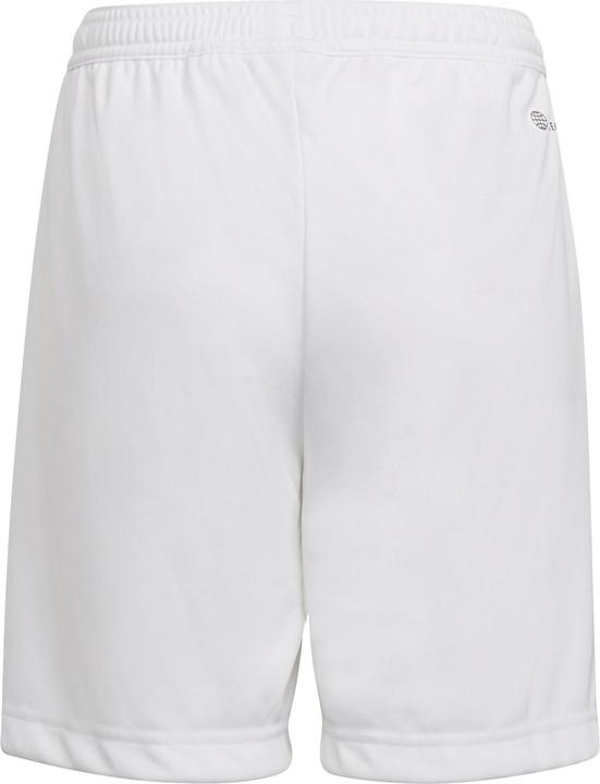 Actual product image adidas Entrada 22 Shorts (152)