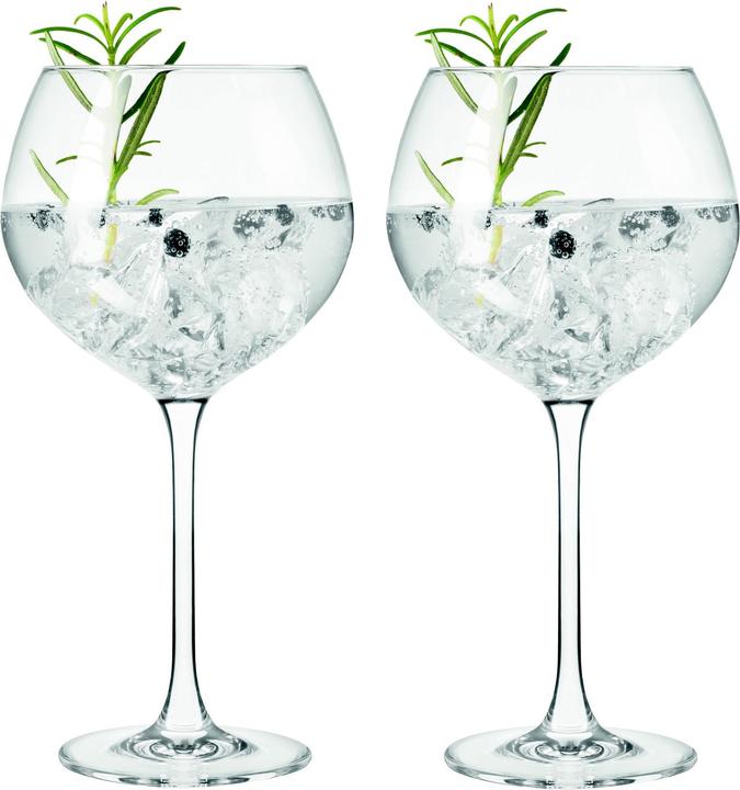 Leonardo Gin glasses (6.30 dl, 2 x, Gin glasses)