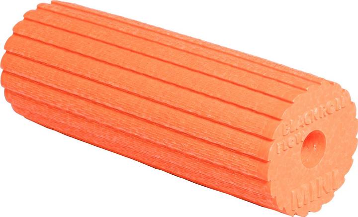 Blackroll MINI FLOW Foam Roller