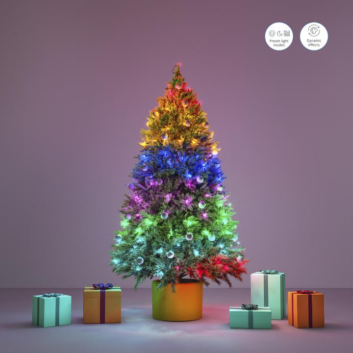 Actual product image WiZ Fairy Light Colour Outdoor (20 m)