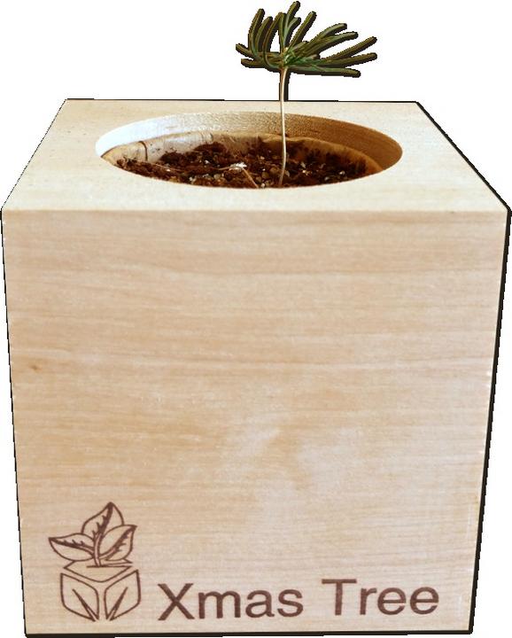 Actual product image Feel Green Ecocube (Plant seeds)