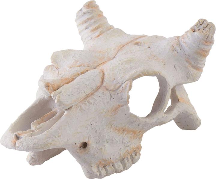 Produktbild Exo Terra Buffalo Skull (Dekoration, sonstige Gegenstände)