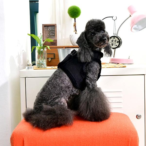 Immagine prodotto Puppia Terry B (M, Cane, Passeggiare)