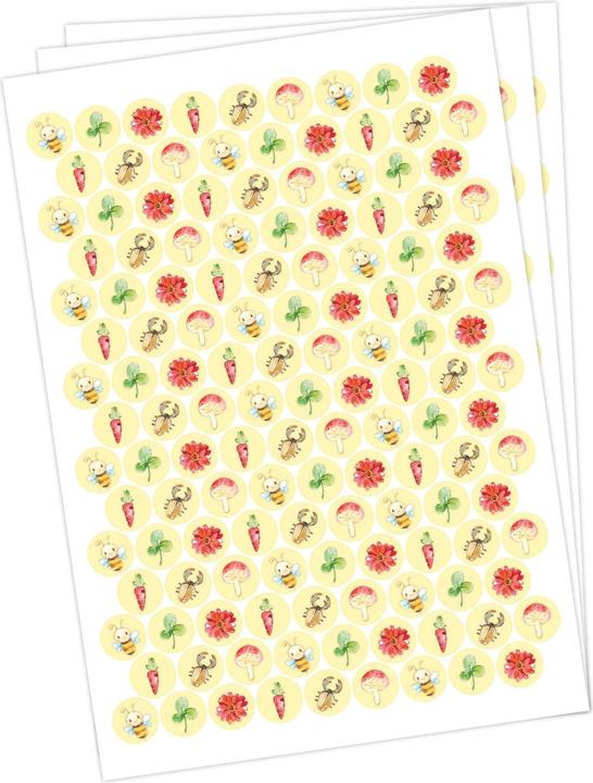 Immagine prodotto Papierdrachen Set di schede di ricompensa
