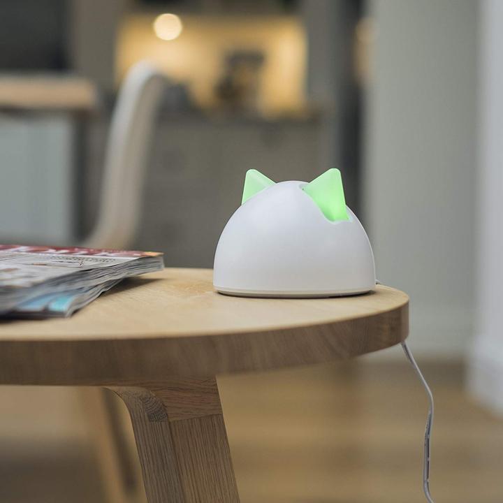 Actual product image SureFlap Connect Hub