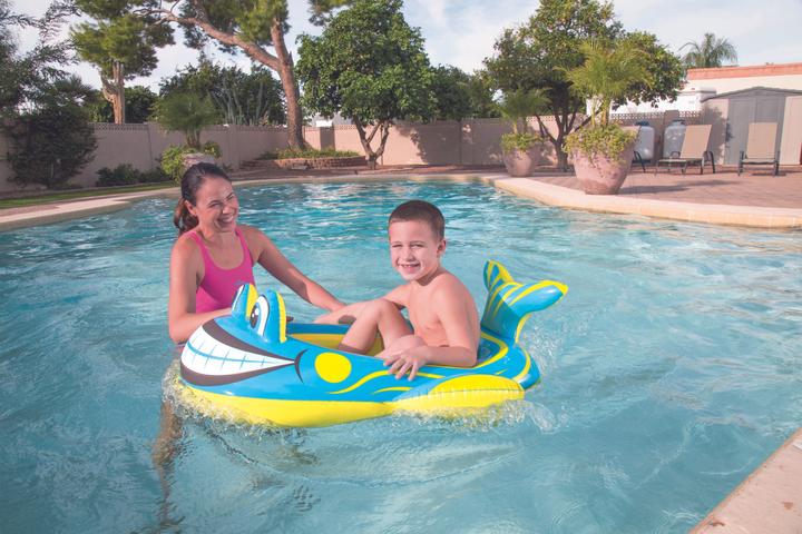 Immagine prodotto Bestway Pool Float