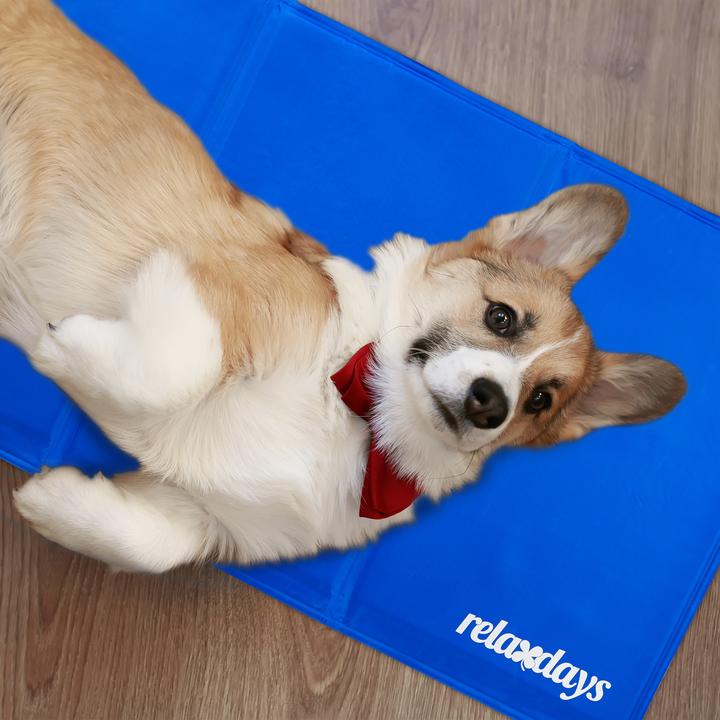 Produktbild Relaxdays Hund (Hund, Katze)