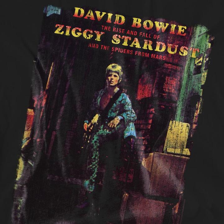 Produktbild David Bowie Ziggy Stardust Album TShirt (XL)