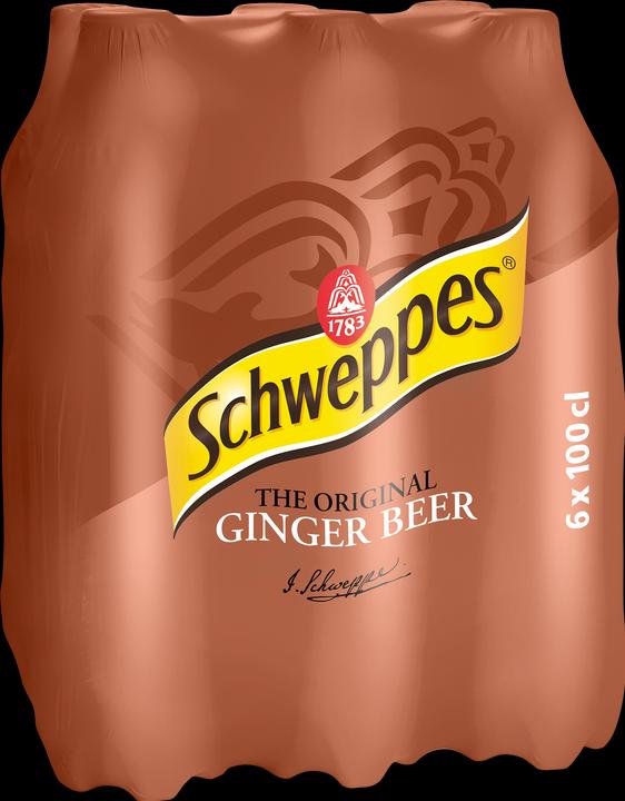 Actual product image Schweppes Ginger Beer (6 x 100 cl)