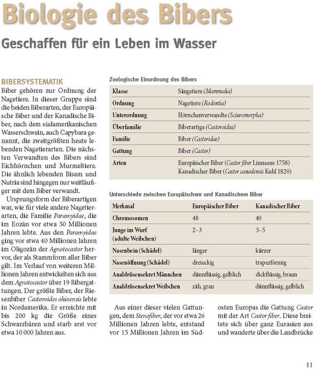 Nährwerte und Zutaten Der Biber (Deutsch, Volker Zahner, Gerhard Schwab, Christof Angst, Markus Schmidbauer, 2021)