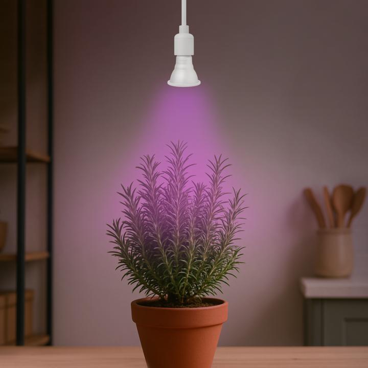 Produktbild Venso E27 Pflanzenlampe "Cultura" 7W 60° (LED, 245 V)