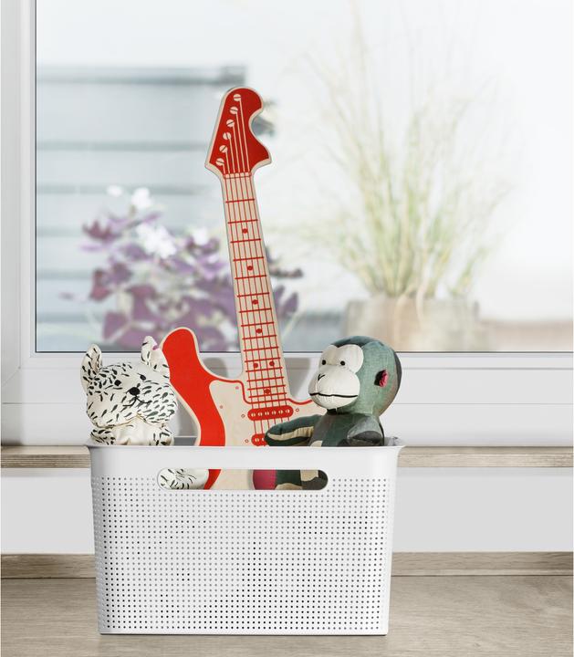 Image du produit Rotho Brises (1 x, 26.2 x 36 cm)