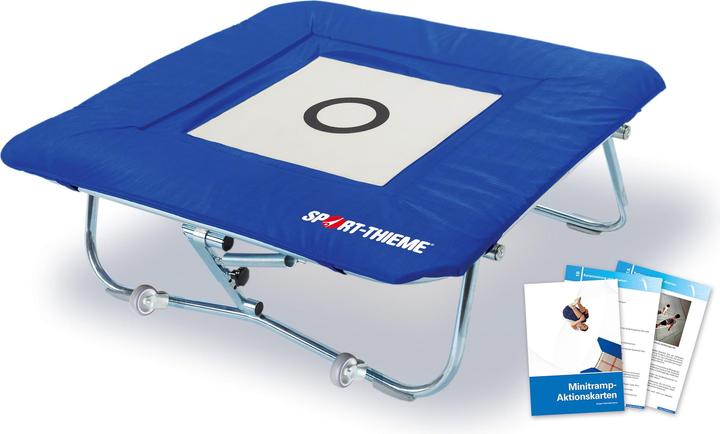 Actual product image Sport-Thieme Minitramp standard