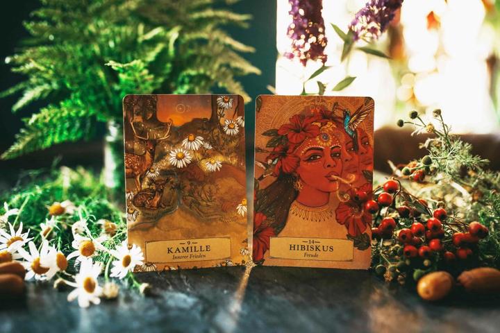 Produktbild Herbal Astrology Orakel: 55 Karten mit Botschaften und Anleitungen (Deutsch, Adriana Ayales, Joséphine Klerks, 2023)