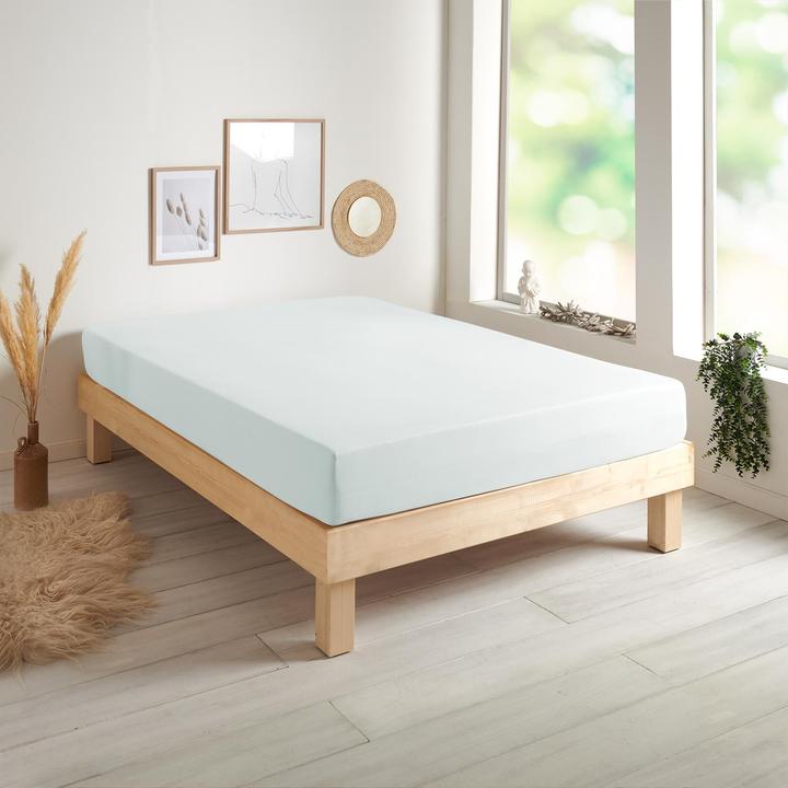Actual product image Traumschlaf Jersey-Elasthan Stretch (90x200 cm, 100x200 cm)