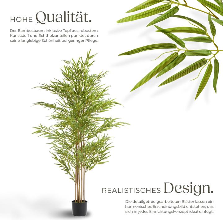 Image du produit tectake Bambusbaum Bambosa (180 cm)