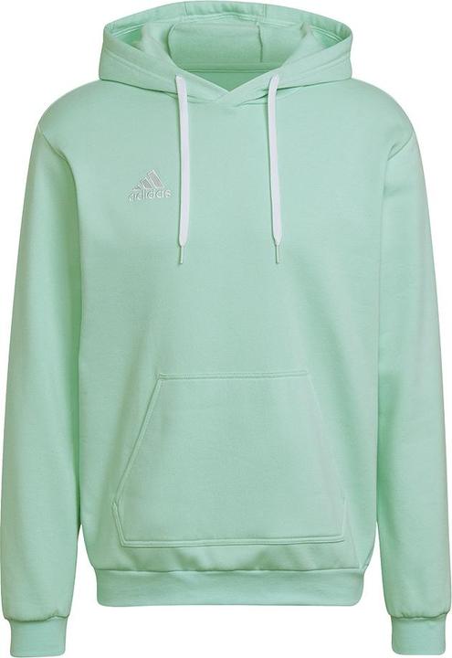 Image du produit adidas Sweat à Capuche Entrada 22 (XS)