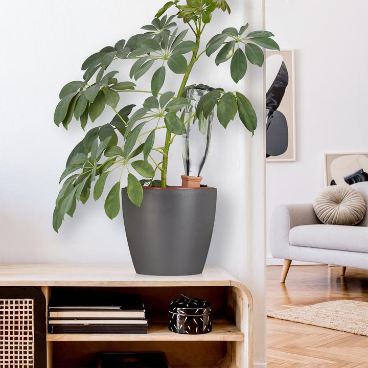 Actual product image Relaxdays Watering spikes (Clay cone)