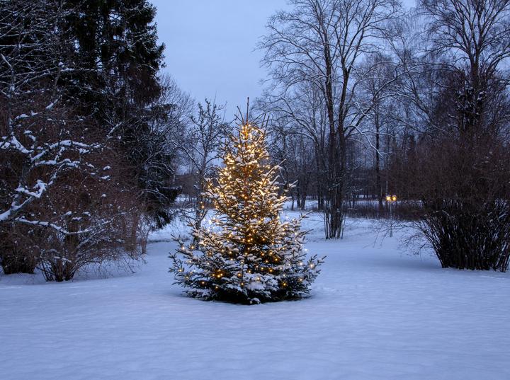 Produktbild Star Trading Christmas Tree Light Shiny (0.07 m)