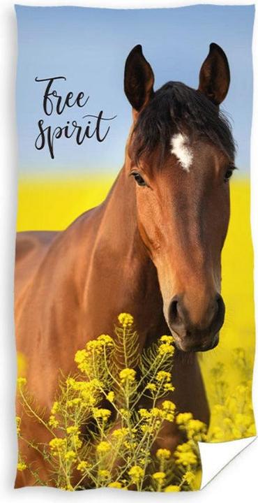 Produktbild Tinisu Pony Pferde Handtuch Free Spirit Strand Badetuch 70x140cm (70 x 140 cm)
