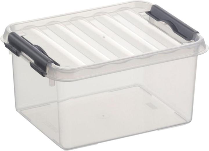 Actual product image Sunware Storage box Q-line, various dimensions (20 x 10 x 15 cm, 2 l)